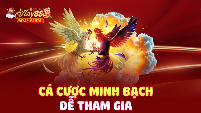 Cá cược minh bạch, dễ tham gia