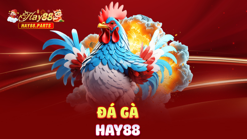 Đá gà Hay88
