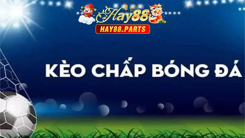 Hay88 bài viết