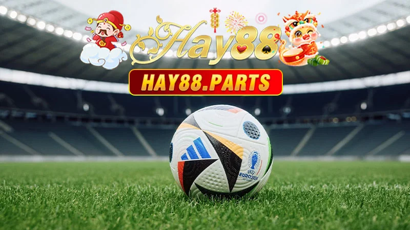Hay88 bài viết